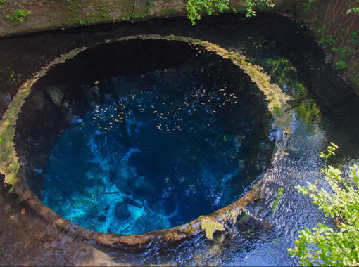 三島の水