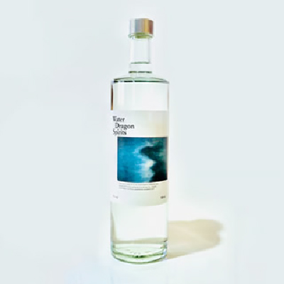 Water Dragon Spirits